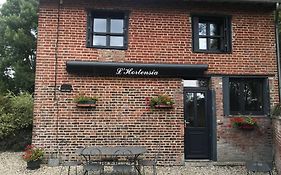 L'Hortensia